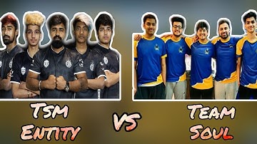 Soul vs Tsm Entity in PMPL