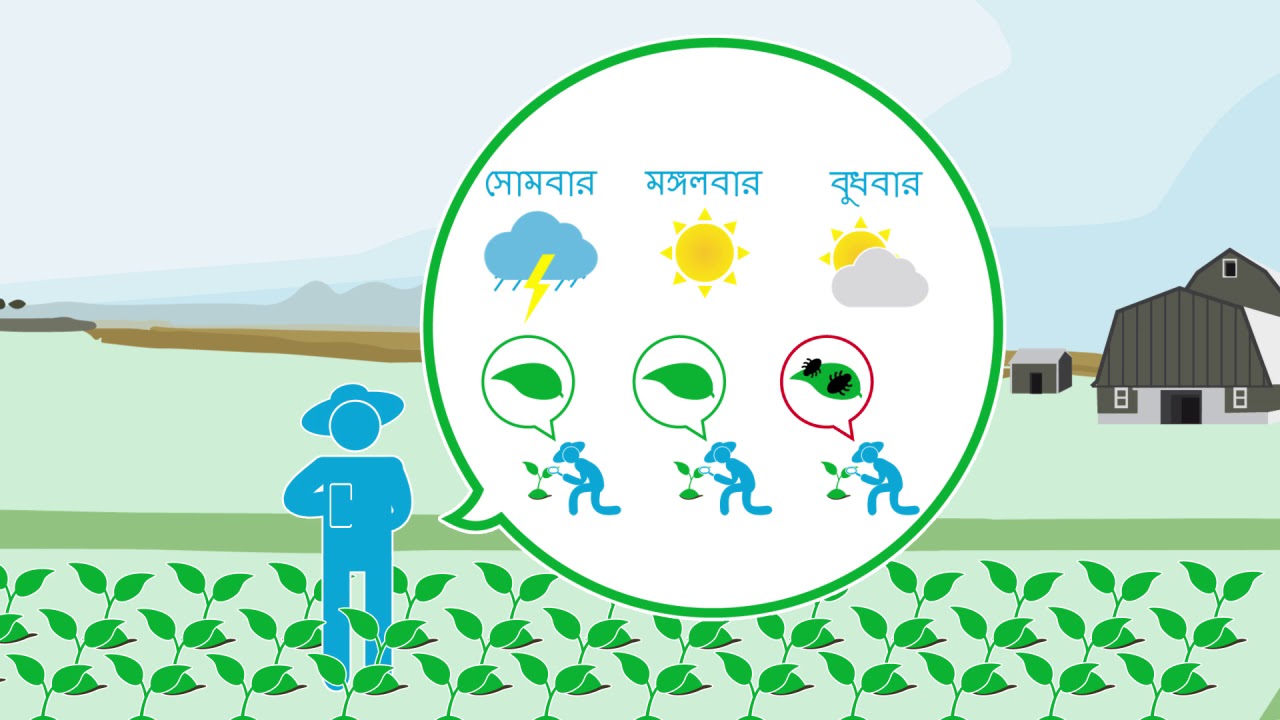 Integrated Pest Management (IPM) Bengali version A G.A.P. in Action