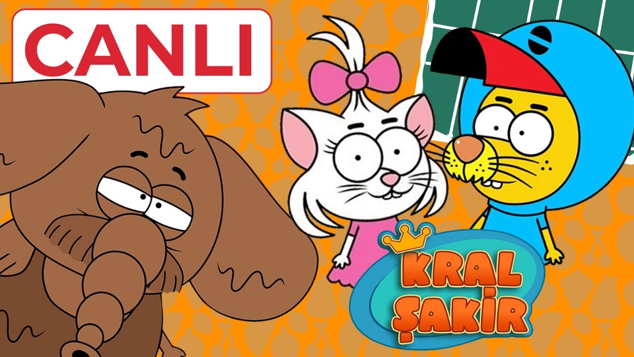 Kral Şakir Canlı Yayın 7/24 Full HD İzle 🔴 #canlıyayın #animation