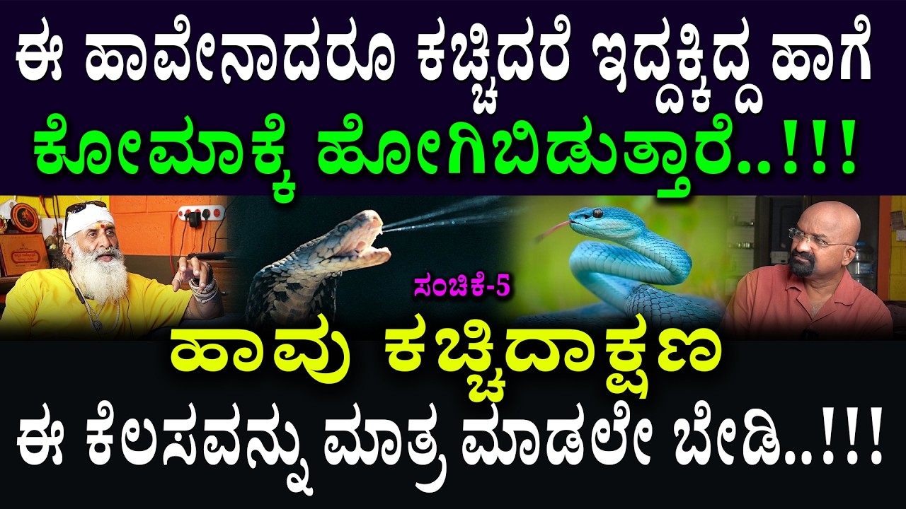 ಈ ಹಾವೇನಾದರೂ ಕಚ್ಚಿದರೆ ಇದ್ದಕ್ಕಿದ್ದ ಹಾಗೆ ಕೋಮಾಕ್ಕೆ ಹೋಗಿಬಿಡುತ್ತಾರೆ..!!!