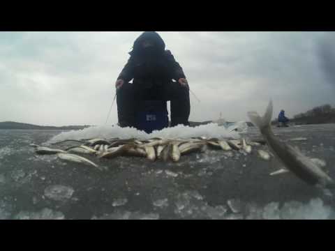 блесны сергея датсуниста блесны сергея датсуниста