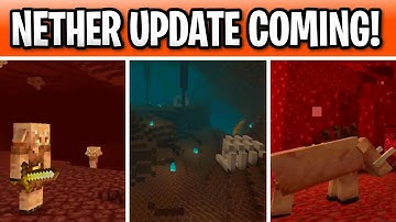 Minecraft Nether Update 1.16! Piglins, Piglin Beast, Soulsand Valley & Nether Forest!