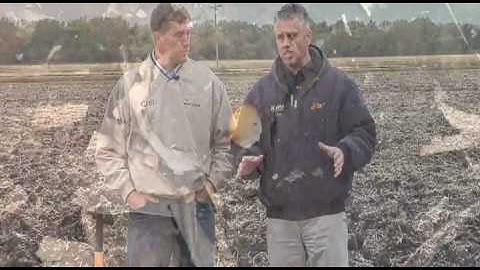 Farm Basics - Grazing Corn Stalks (From Ag PhD #553 11/9/08)