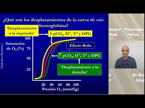 Video: ¿Dónde se produce el efecto haldano?