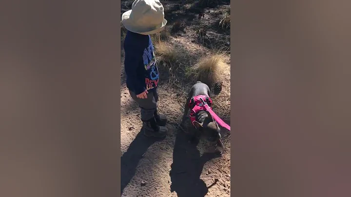 062317 Todd Hiking with Family (Shevlin Park)