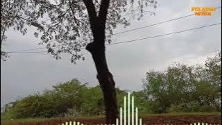 LAGU MINANG BUKAN BANCI KA ANAK ERWIN AGAM - LAGU MINANG TERBARU 2024 FULL ALBUM