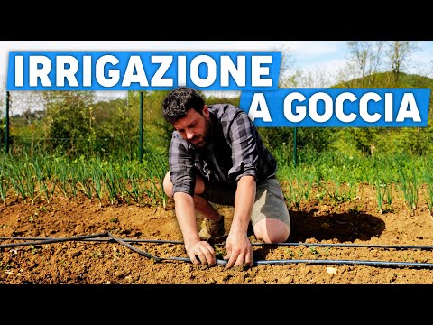 Questa IRRIGAZIONE per l'orto RISPARMIA il 70% d'ACQUA