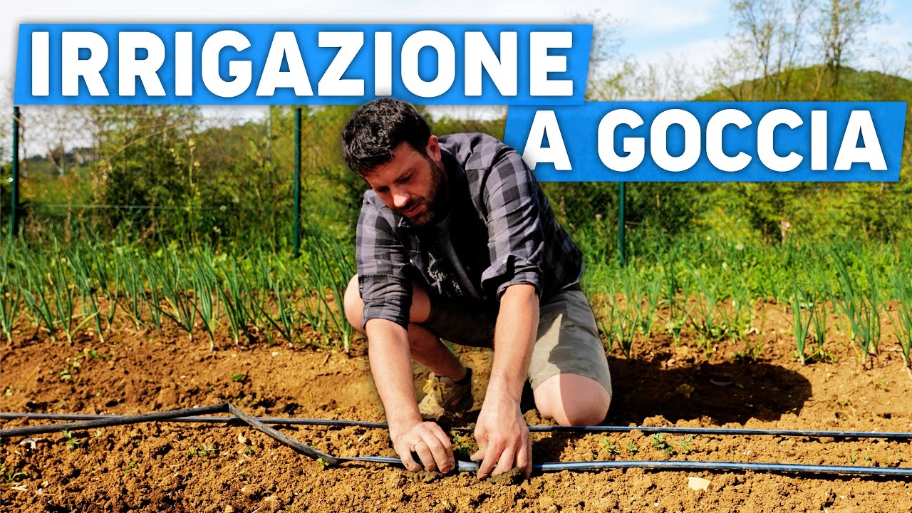 Questa IRRIGAZIONE per l'orto RISPARMIA il 70% d'ACQUA