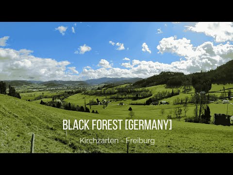 Hiking from Kirchzarten to Freiburg | Black Forest [Germany] | 4K