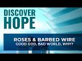 3. Roses &amp; Barbed Wire - Good God, Bad World, WHY?