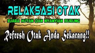 Relaksasi OTAK Suara Alam dan Nyanyian Burung || Terapi Otak, Insomnia, Susah Fokus, Stress