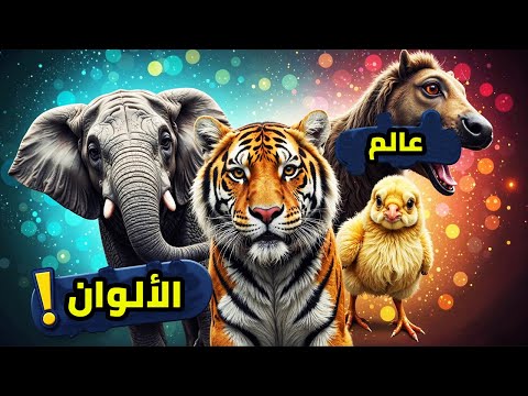 تعلم الألوان بالانجليزي مع الحيوانات اغنية ممتعة وتعليمية للأطفال
