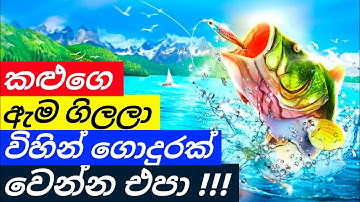 Powerful Chess Opening Trap in Sinhala