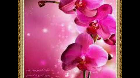 ما تيسر من سورة هود تلاوة خاشعة