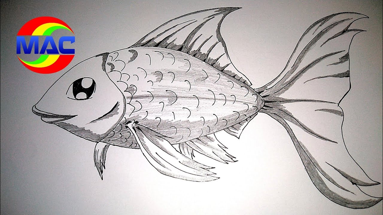 Menggambar ikan mudah untuk pemula | how to drawing fish for beginner