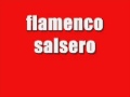 flamenco salsero remix 2009