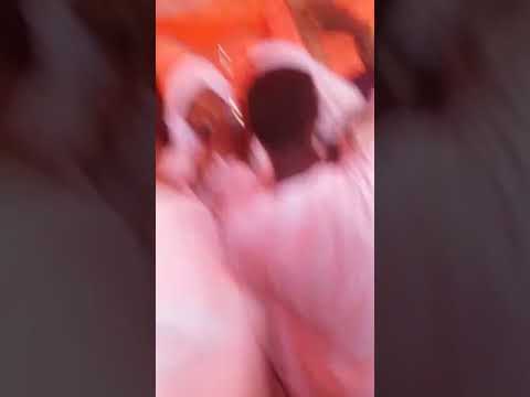 عبدالكريم فخرالكبابيش