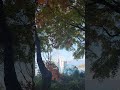 가을단풍 #주현미#가을과겨울사이#풍경#인생노래
