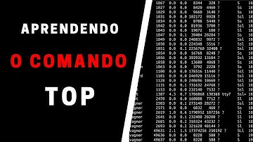 Como usar o comando TOP no Linux - Gerenciamento de Processos