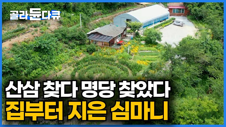 15년 동안 산삼만 찾아다니던 남자... 명당 발견하자마자 집부터 지었다ㅣ한국기행│#골라듄다큐