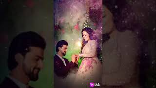 New Video Whatsapp Status Pramita Chakraborty & Rudrajit Mukherjee Sat Bhai Champa Full Bangli.. .