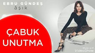 Ebru Gündeş - Çabuk Unutma  Resimi