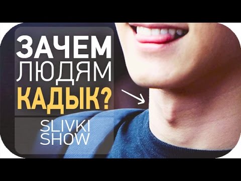 Зачем людям кадык? [SLIVKI SHOW]