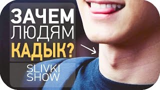 Зачем людям кадык? [SLIVKI SHOW]