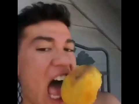 meme mango on a fork｜TikTok Search