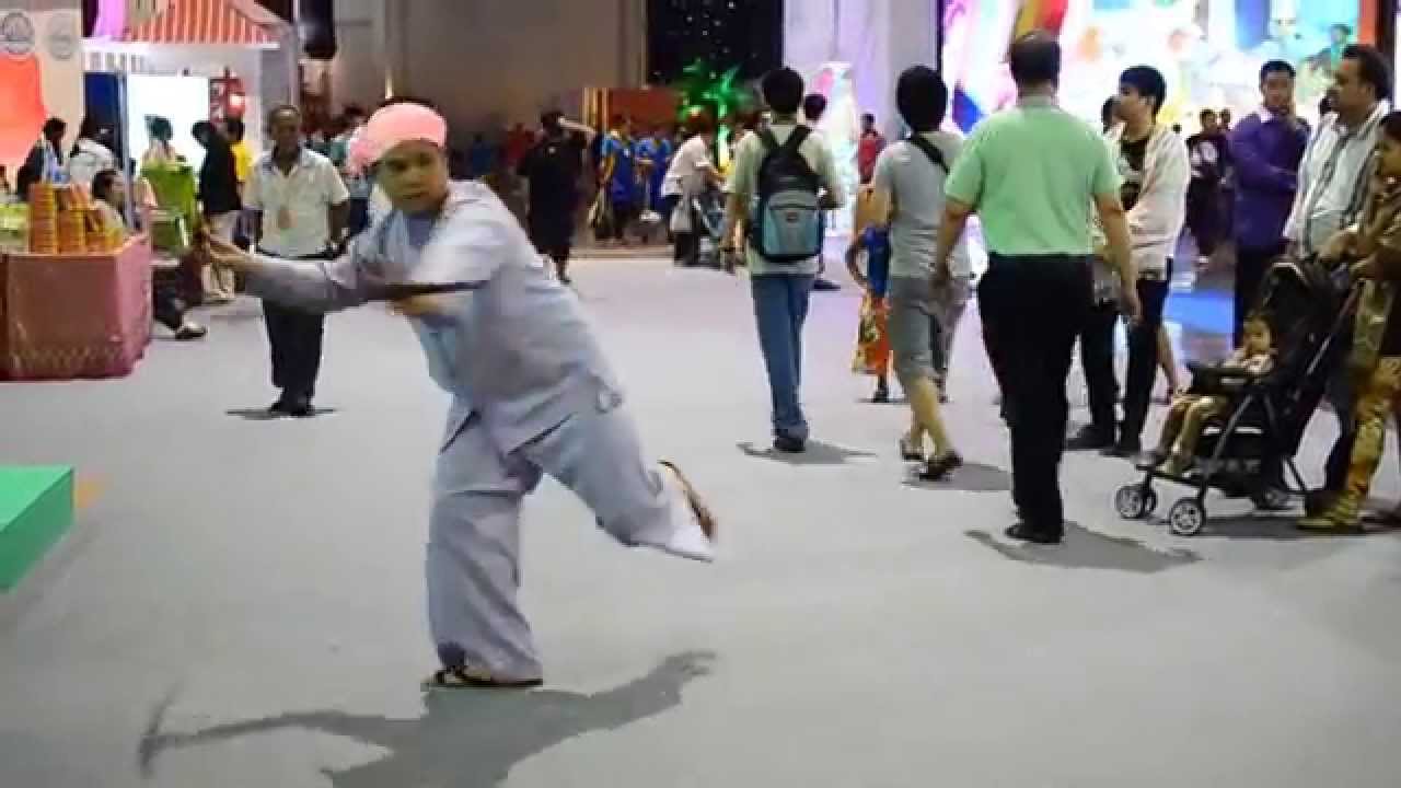 ก้าลาย...ก้าแลว : ศิลปะจากการต่อสู้อย่างไตแม่ฮ่องสอน