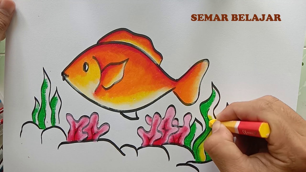 Cara mudah menggambar ikan YouTube