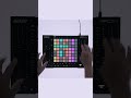 Touch the Future of Ableton Live control with APC64 🔥