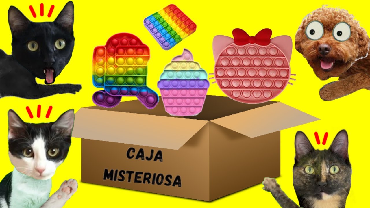 Abrimos la caja secreta y misteriosa de juguetes pero sale mal / Videos de gatos Luna y Estrella