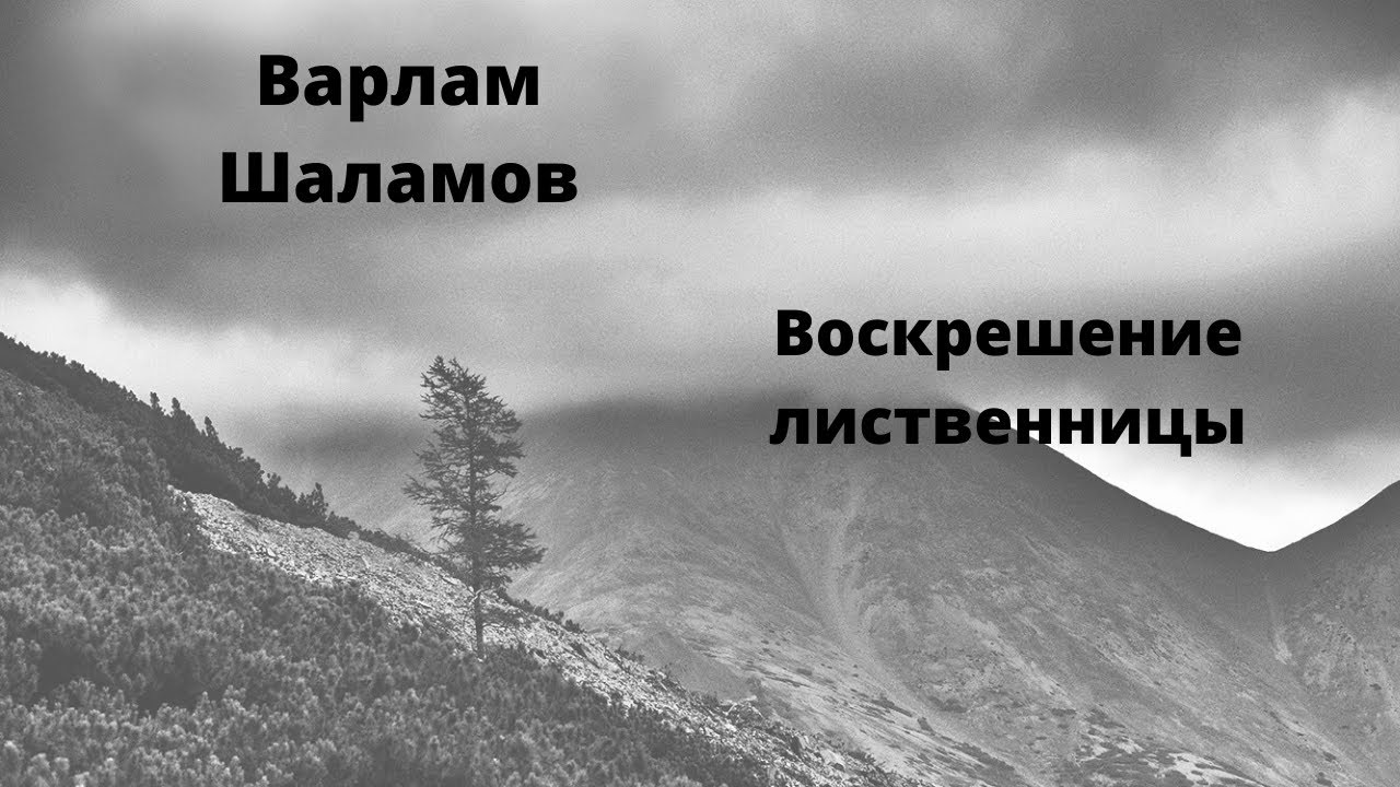 Колымские рассказы первое издание. Воскрешение лиственницы шаламов анализ произведения. 18 июня 1907 варлам шаламов. Колымские рассказы. Воскрешение лиственницы анализ.