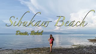 Sibukaw Beach Dauis Bohol Free No Entrance