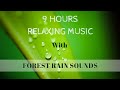 Relaxing Sleep Music | FOREST RAIN SOUNDS | Calming Music for Deep Sleep