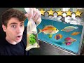 Shopping for the MOST EXPENSIVE RARE FISH!! ... (SALTWATER)