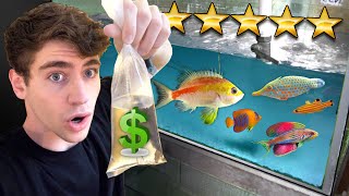 Shopping for the MOST EXPENSIVE RARE FISH!! ... (SALTWATER)