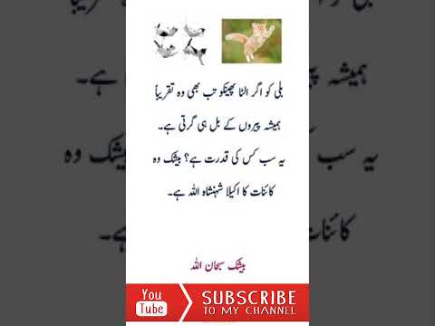 Allah ki Qudrat - 106 !! اللہ رب العزت کی قدرت !!