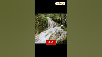 راحة نفسية لا مثيل لها: استمع للقرآن الكريم وتخلص من ضغوطات الحياة♥️