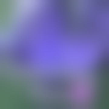 Editor bekentot # story wa buat anak ngentot