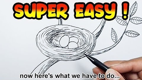 How to draw a bird nest easy | How To Draw Nest | Nest Drawing Easy