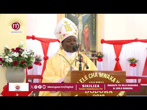 ASK KIBOZI WHERE ARE THOSE WHO GET A PASS GOING LET S PREPARE FOR THE CAR BUYING Frenzy