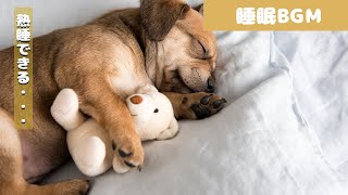 犬も音楽でリラックス犬が寝るように設計されているBGM【睡眠効果あり】