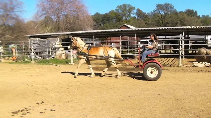 Brenda Cart Photo 2