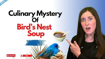 From Sky to Table: Unraveling the Culinary Mystery of Bird’s Nest Soup
