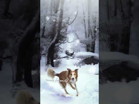 I Want a Dog is out. Give it a spin while you anxiously wait for the rest of SZNZ: Winter ❄️🥶