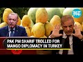 Got you mangoes pak pm sharifs conversation with erdogan goes viral  watch