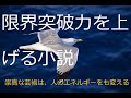 『かもめのジョナサン』完成版　リチャードバック・著　五木寛之・創訳　ラッセル・マンソン・写真　新潮文庫・出版　~序文～