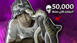 رحلة البحث عن أخطر حية في مصر !!☠️🐍SAW SCALED VIPER: THE WORLD DEADLIEST SNAKE !!☠️